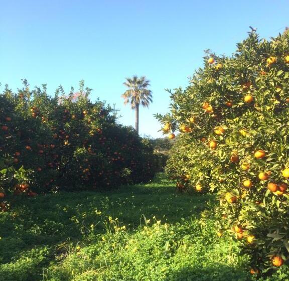 호텔 Finca Cas Sant