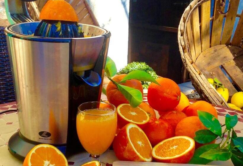 호텔 Finca Cas Sant