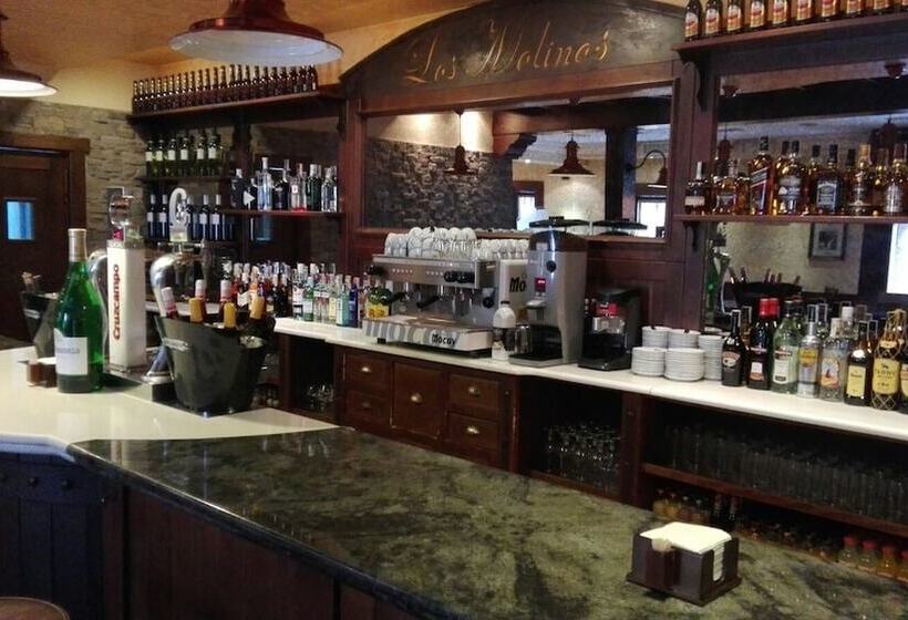 Отель Hostal Los Molinos