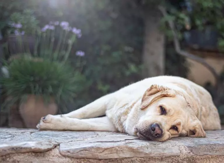 هتل La Torre Del Visco   Relais & Châteaux