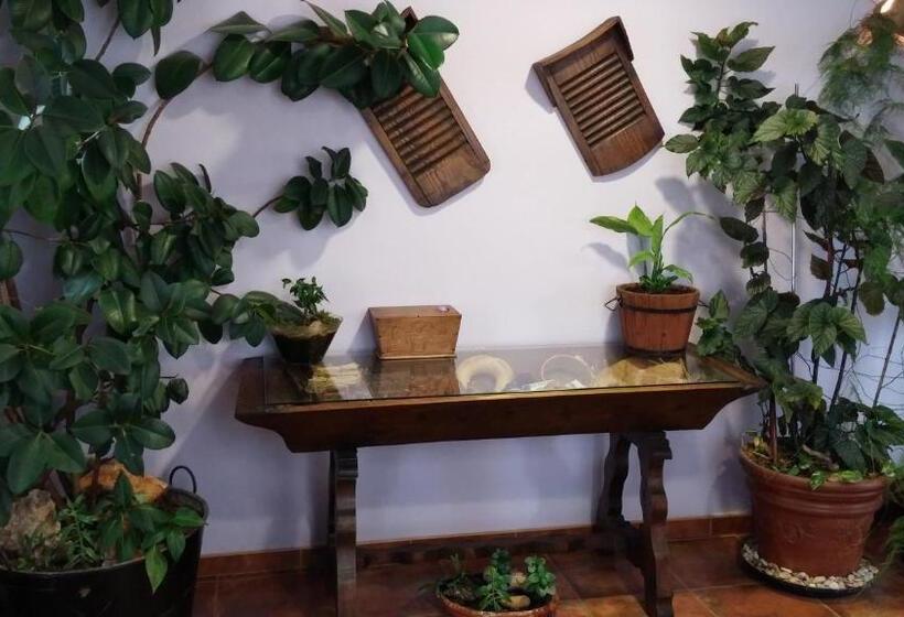 Отель Restaurante Segobriga