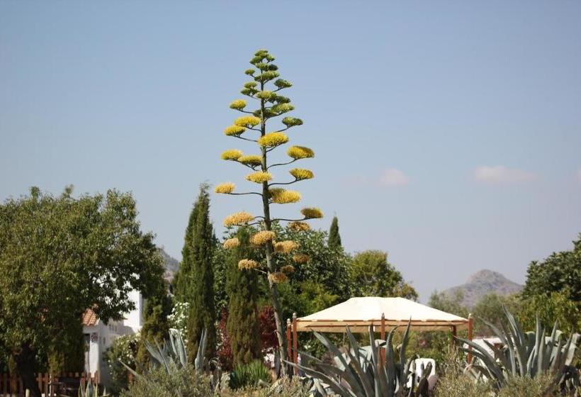 Boutique Bed & Breakfast Casa Paco   Adults Only