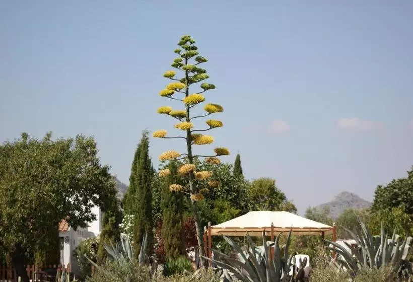 Boutique Bed & Breakfast Casa Paco Adults Only