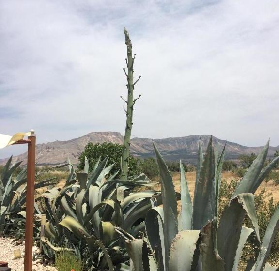 Boutique Bed & Breakfast Casa Paco   Adults Only