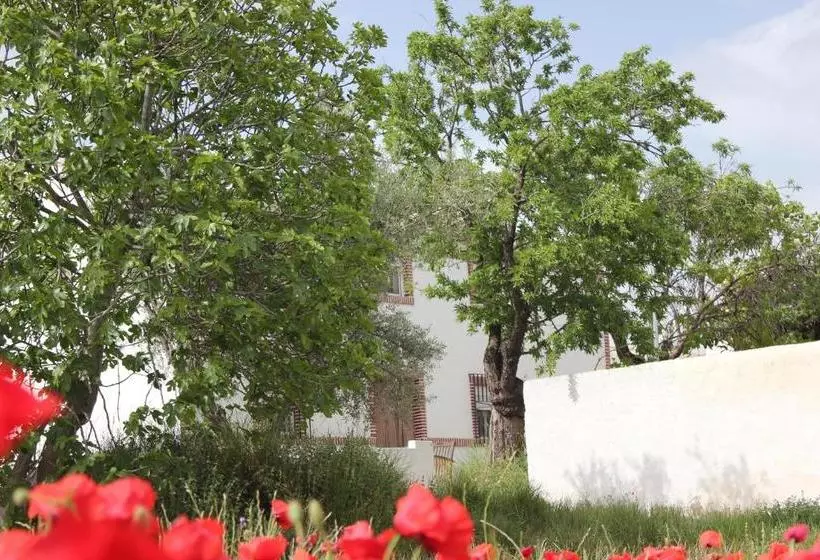 Boutique Bed & Breakfast Casa Paco Adults Only