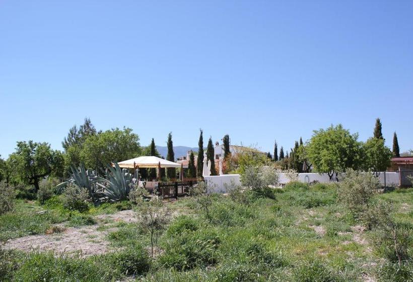 Boutique Bed & Breakfast Casa Paco   Adults Only