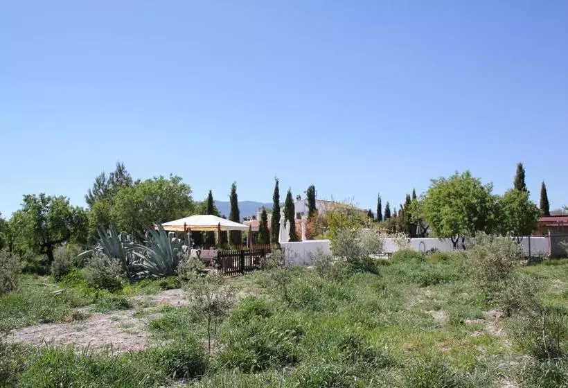 Boutique Bed & Breakfast Casa Paco Adults Only