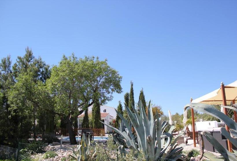 Boutique Bed & Breakfast Casa Paco   Adults Only