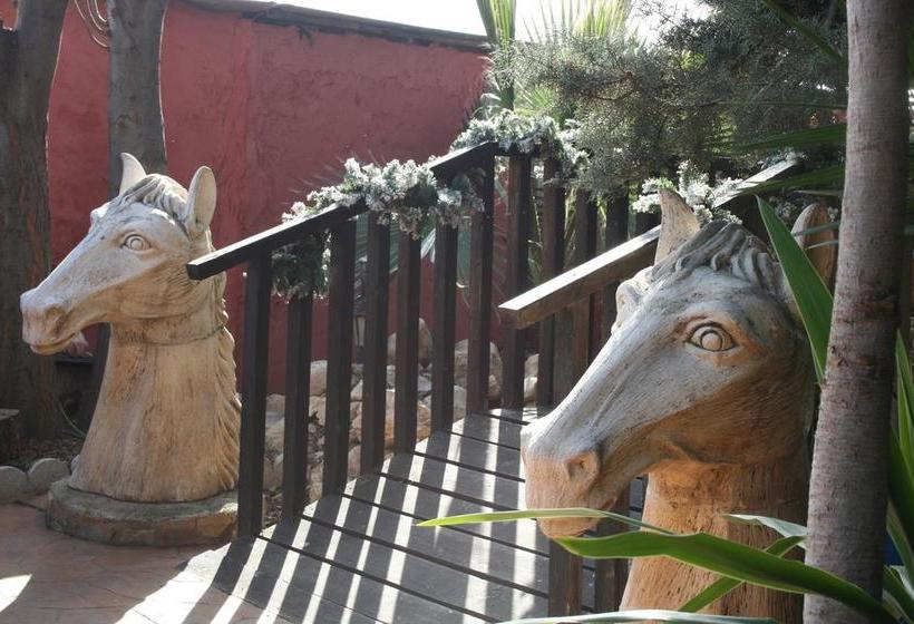 住所  Villa Campillo