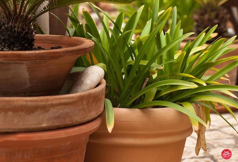 استراحتگاه Casa Romantica