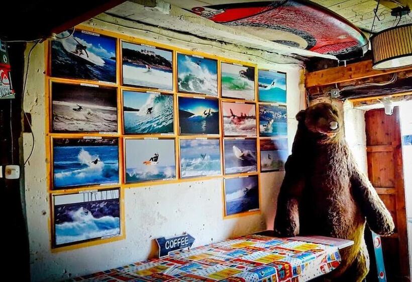 Surftolive House Hostel