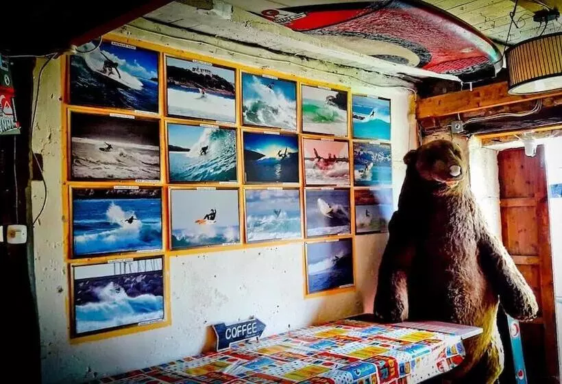 Surftolive House   Hostel
