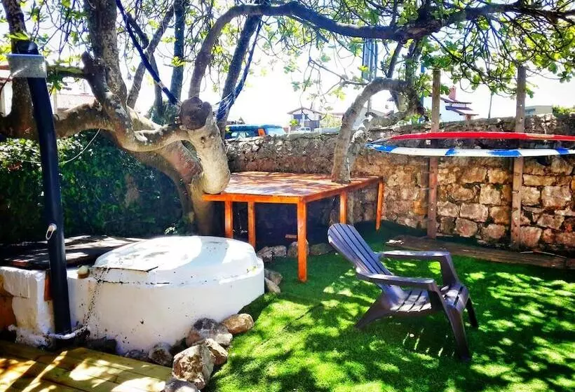 Surftolive House   Hostel