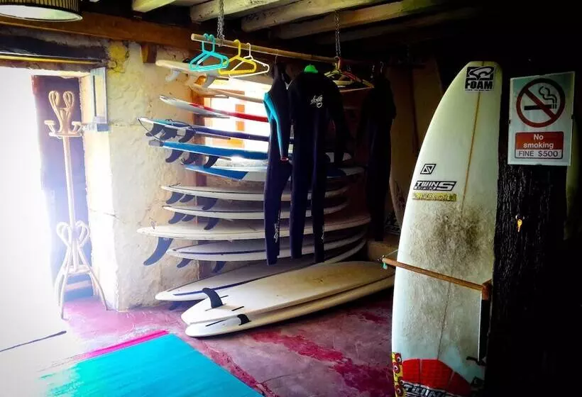 Surftolive House   Hostel