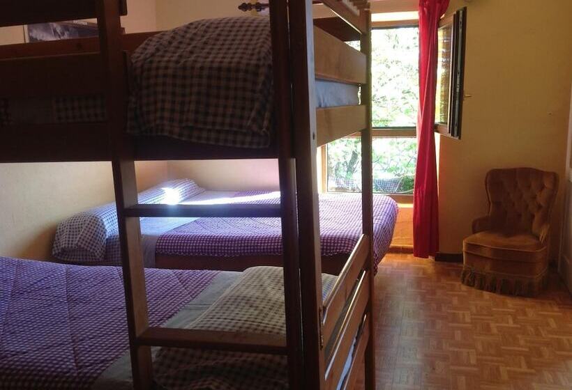 Surftolive House Hostel