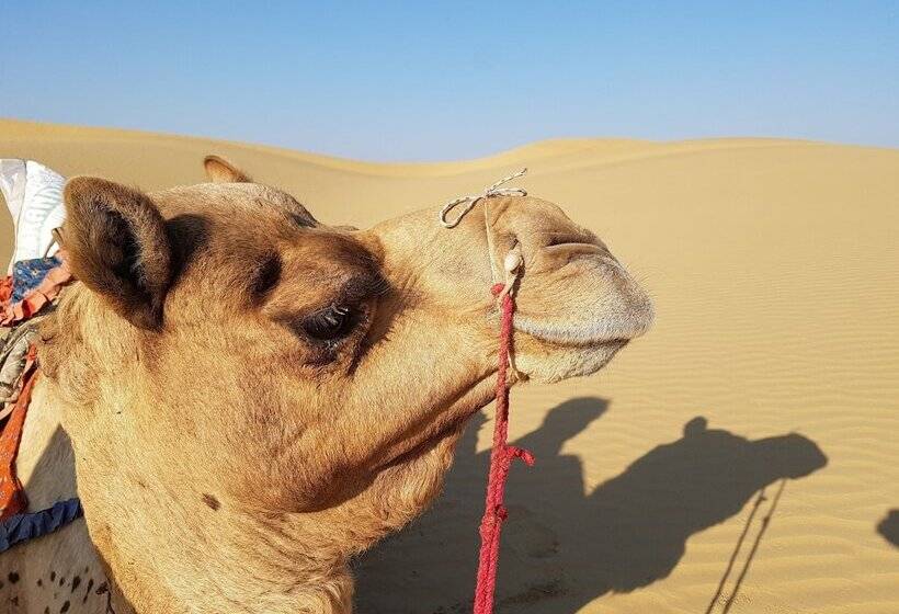 Gaji Hotel Jaisalmer
