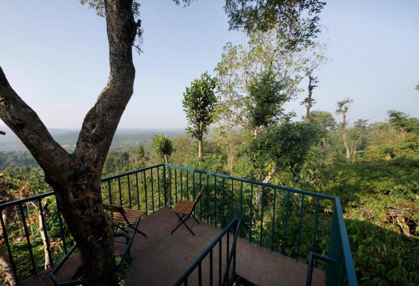 Resort Avadale Wayanad   Stag Groups Not Allowed