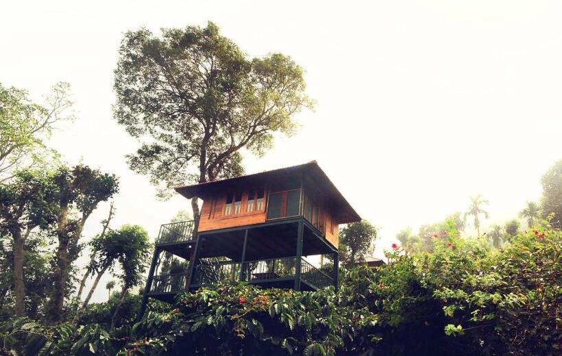 Resort Avadale Wayanad   Stag Groups Not Allowed