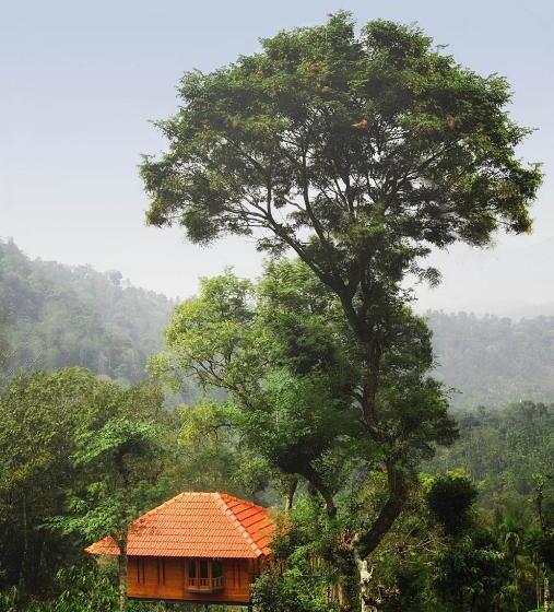 Resort Avadale Wayanad   Stag Groups Not Allowed