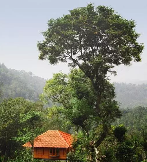 Lomakeskus Avadale Wayanad   Stag Groups Not Allowed