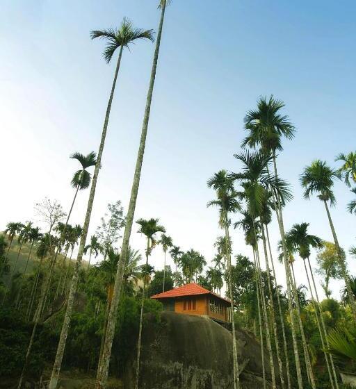 Resort Avadale Wayanad   Stag Groups Not Allowed