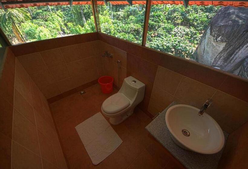 Resort Avadale Wayanad   Stag Groups Not Allowed