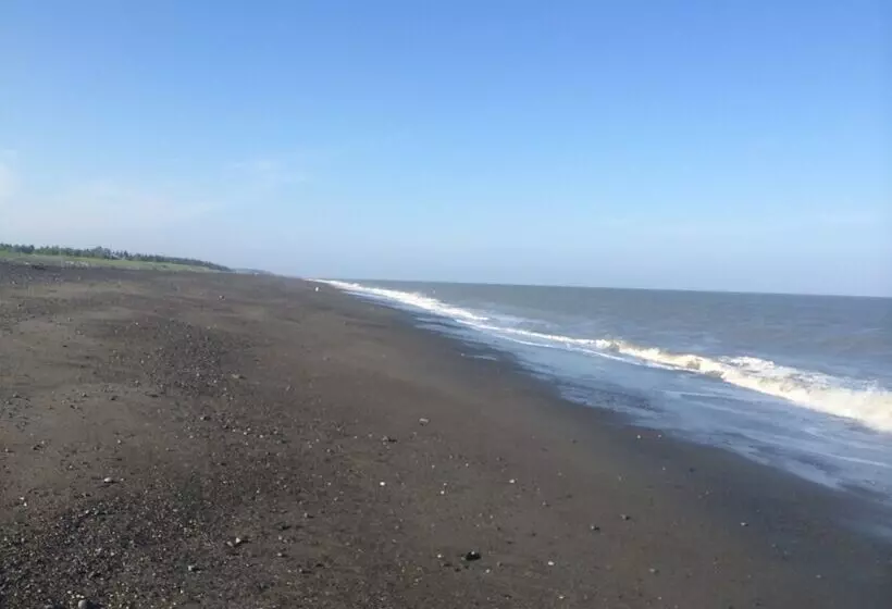 ベッドアンドブレックファースト Ocean View Inn Kenai
