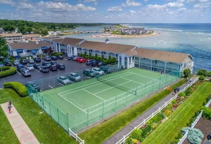 モーテル The Sparhawk Oceanfront Resort