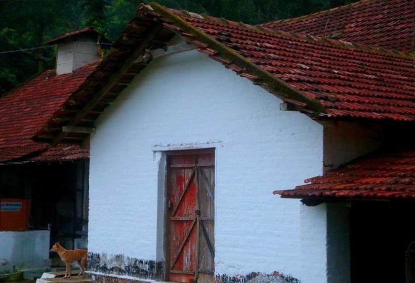 渡假胜地 Old Kent Estates & Spa, Coorg