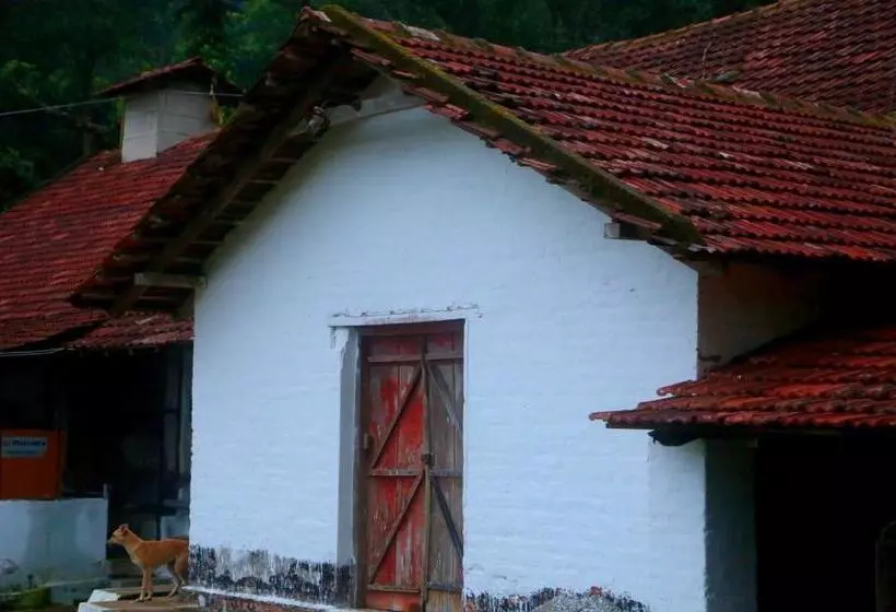 Lomakeskus Old Kent Estates & Spa, Coorg