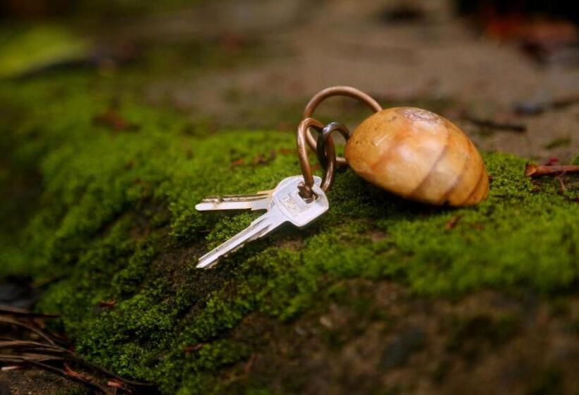 渡假胜地 Old Kent Estates & Spa, Coorg