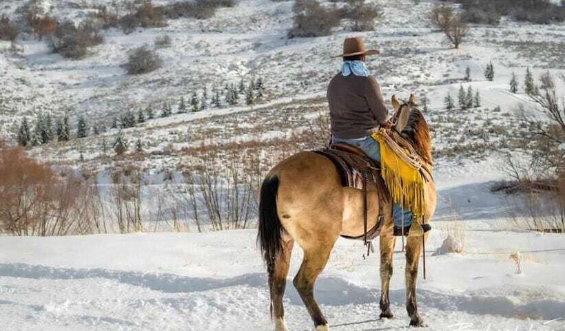 مبيت وإفطار Alaskan Inn