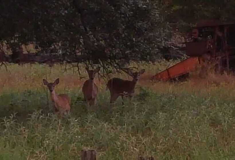 Bed and Breakfast Full Moon Inn