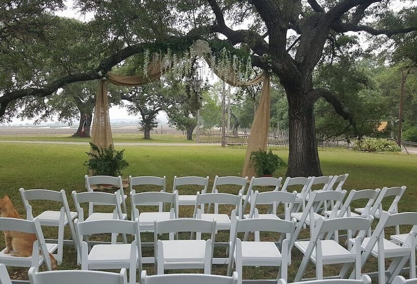 Bed and Breakfast Full Moon Inn