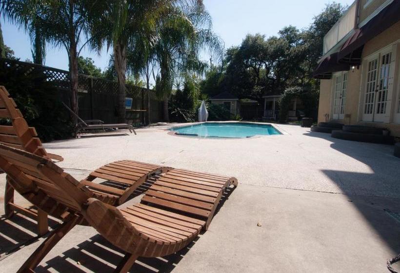 Hi  Houston The Morty Rich Hostel