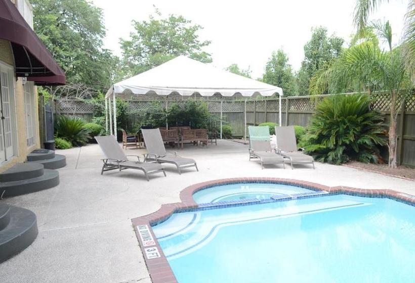 Hi  Houston The Morty Rich Hostel