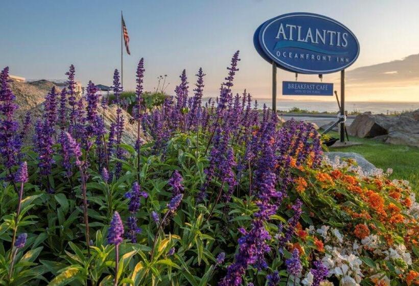 فندق Atlantis Oceanfront Inn Gloucester