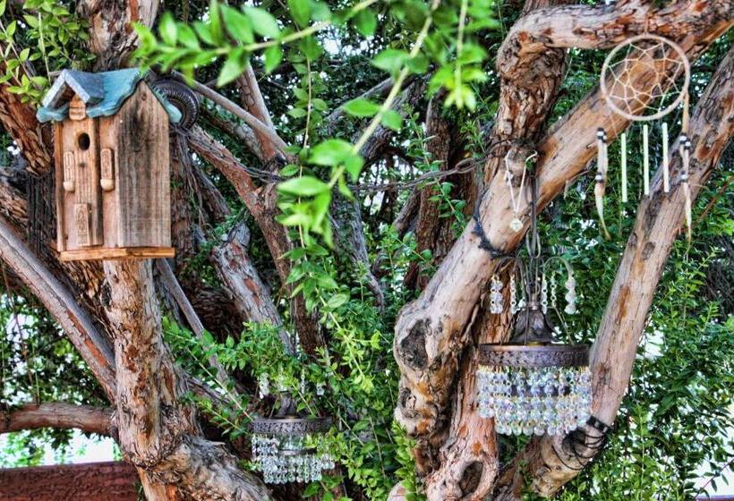 فندق My Place Suites