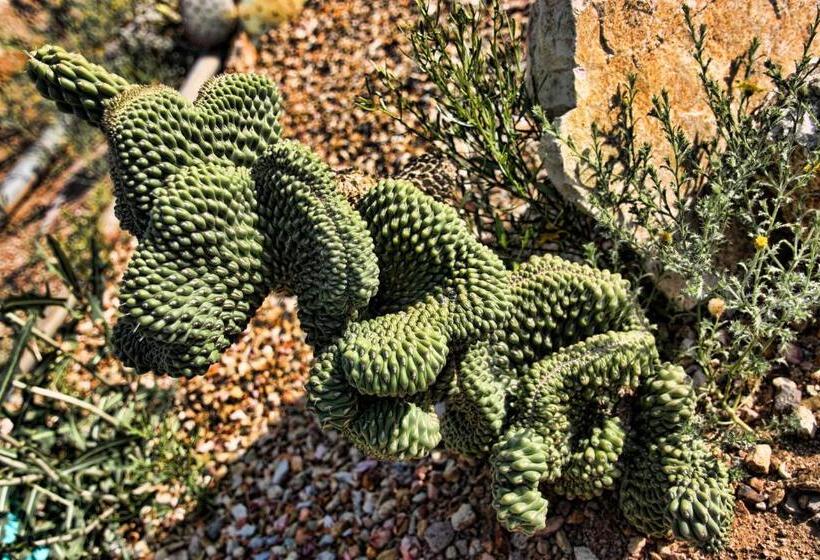 فندق My Place Suites