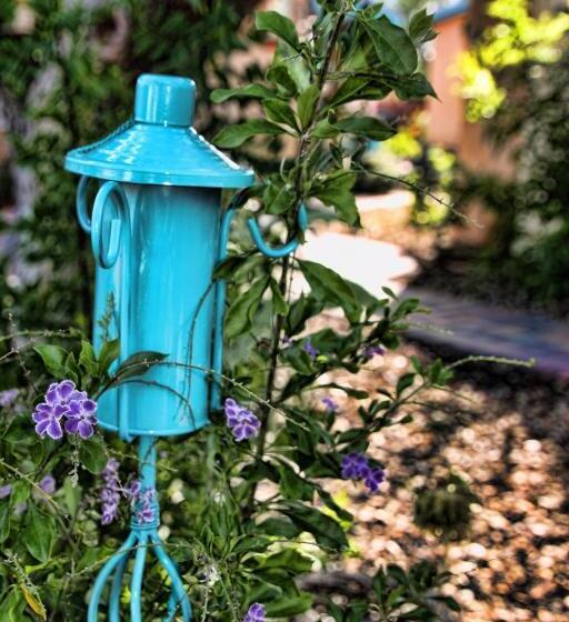 فندق My Place Suites