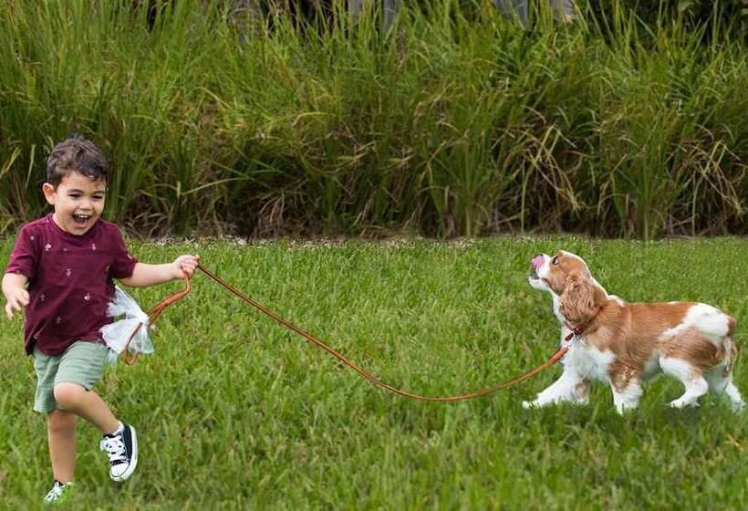 호텔 South Beach Place  Vero Beach