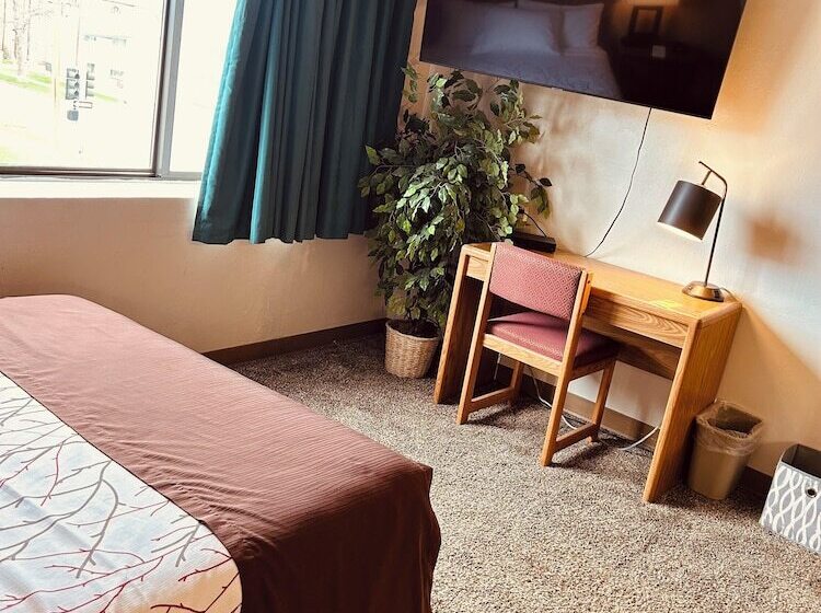 فندق على الطريق Aisling Suites The Midtown