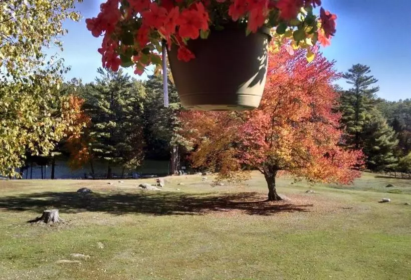 モーテル The Lodge At Loon Lake