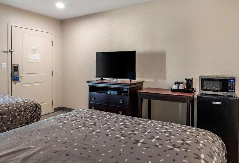 汽车旅馆  Rodeway Inn