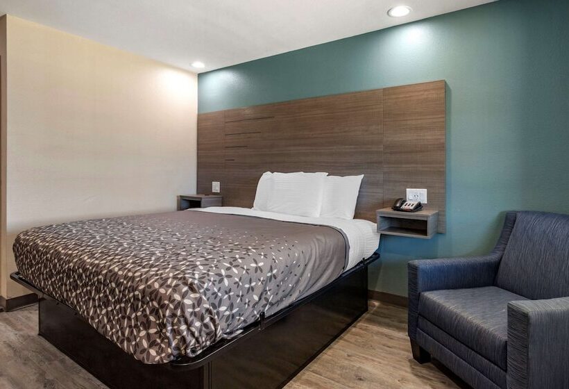 汽车旅馆  Rodeway Inn