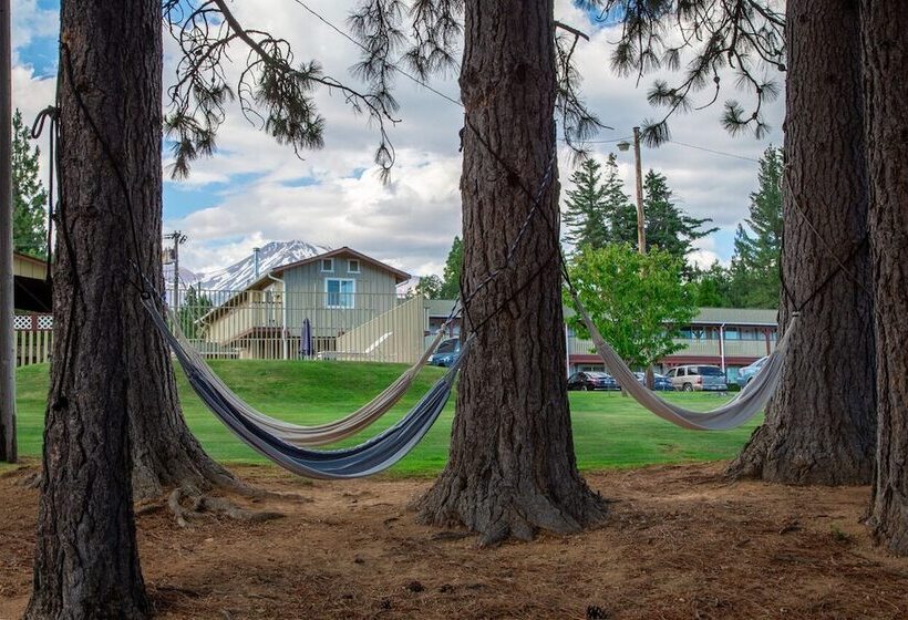 מוטל Swiss Holiday Lodge