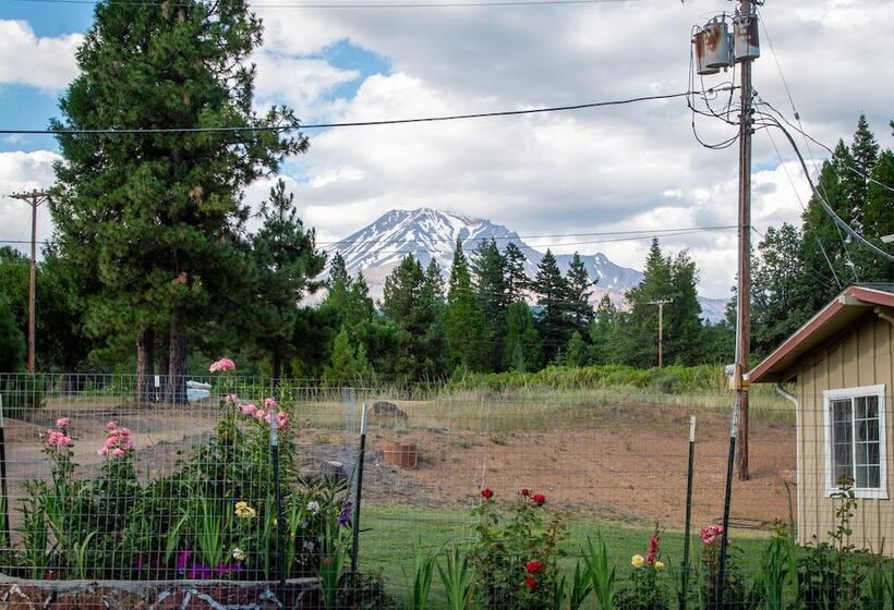 モーテル Swiss Holiday Lodge