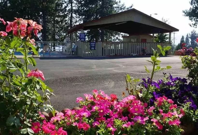 Motelli Swiss Holiday Lodge