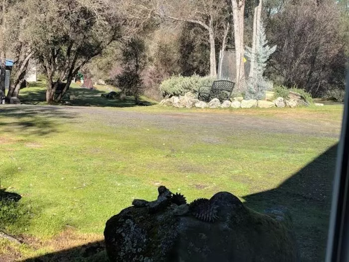 Yosemite Nights B&b