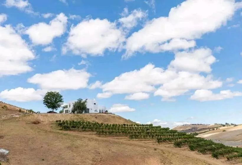 ベッドアンドブレックファースト Sirena Vineyard Resort